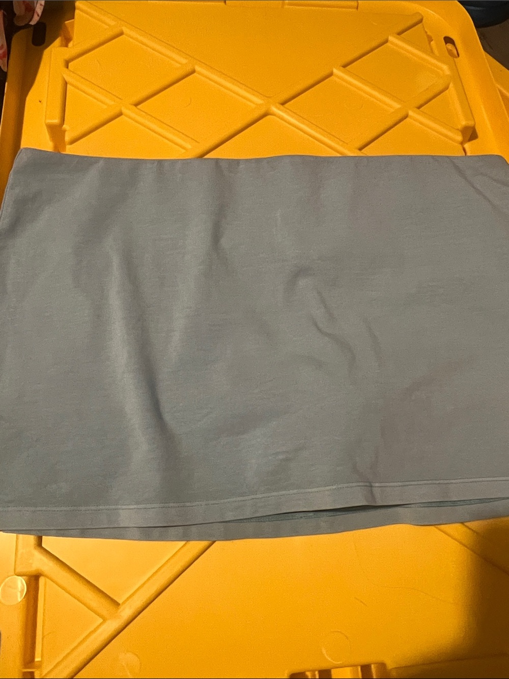 American Eagle Outfitters  Mini Skirt with shorts